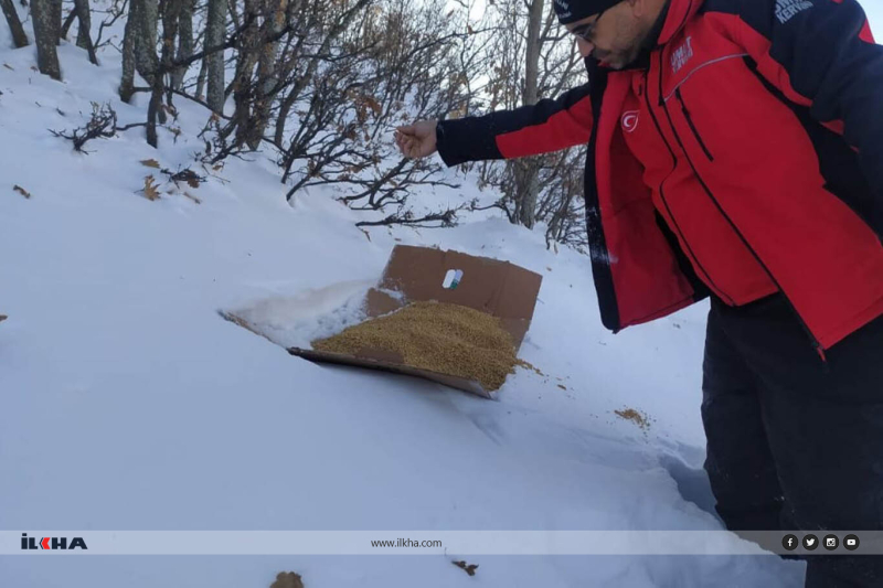 Bingöl Umut Kervanı yabani hayvanlar için doğaya yem bıraktı 