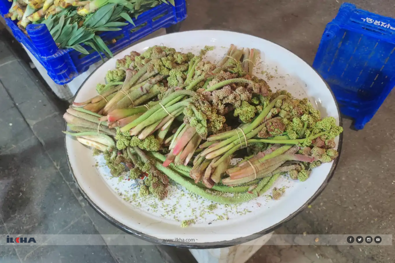 Bing&ouml;l'de "Yayla muzu" tezg&acirc;hlarda yerini aldı