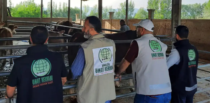 Umut Kervanı, Bingöl'de binlerce aileye kurbanlık ulaştırdı